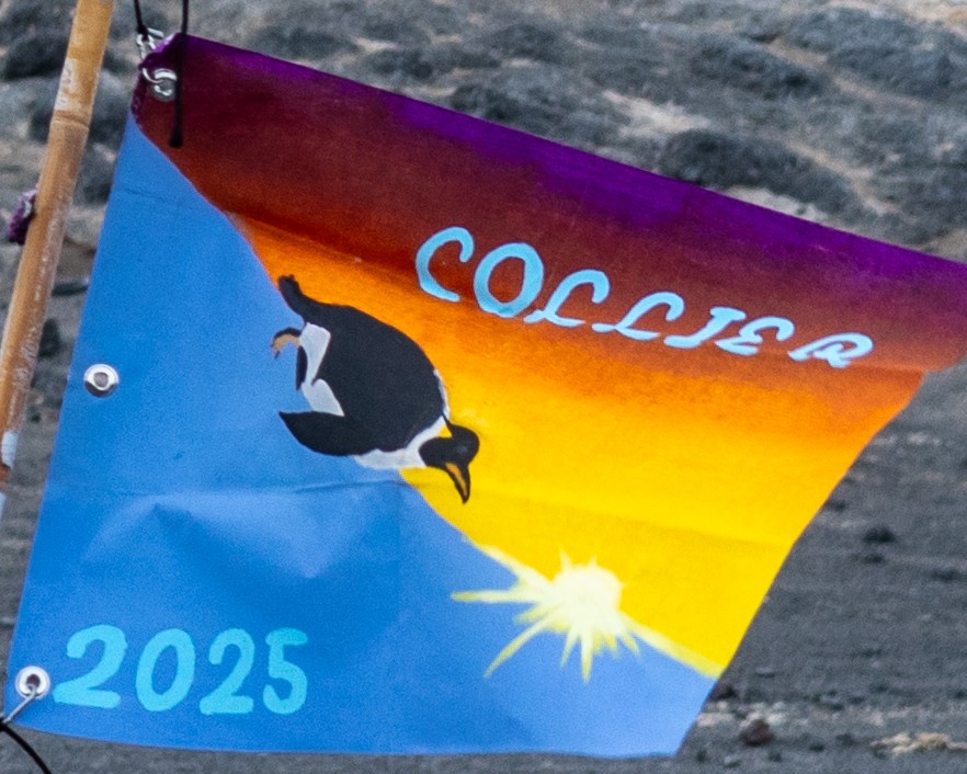 Penguin Flag