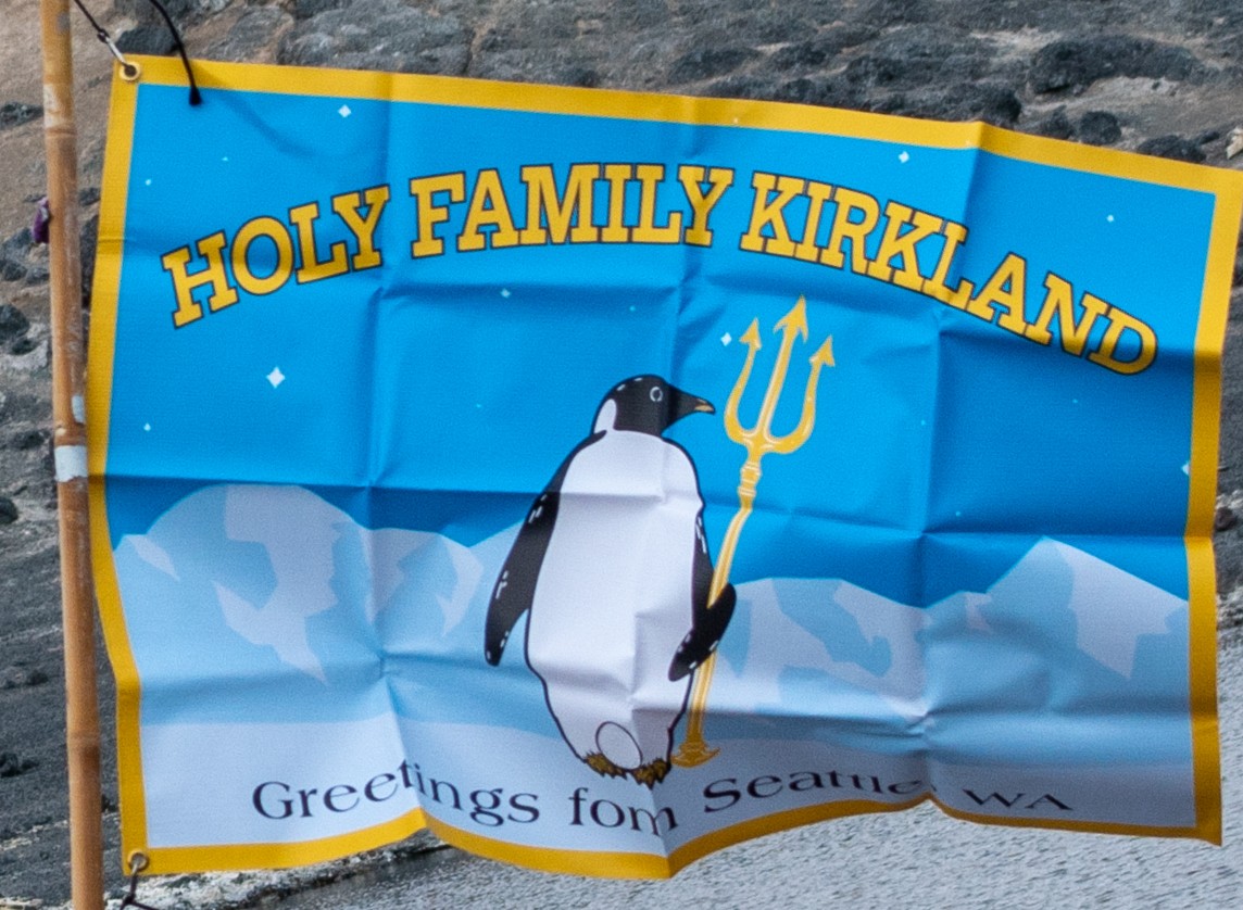 penguin Flag
